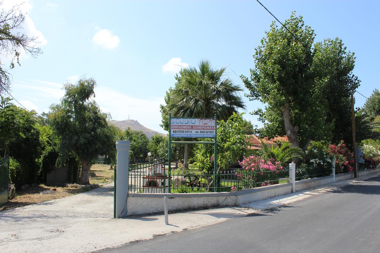 Studio Aspa * סקאלה ארסו